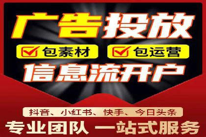 SEM推广实战：成功案例剖析
